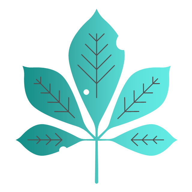 Sustainable Growth